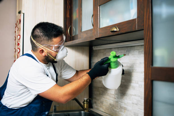 Best Local Pest Control Services  in West Middlesex, PA