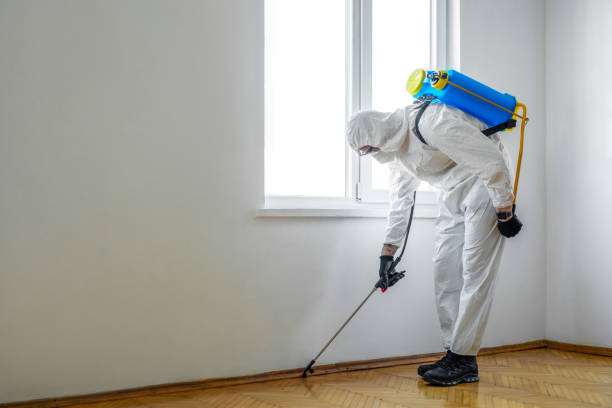 Best Pest Control for Businesses  in West Middlesex, PA