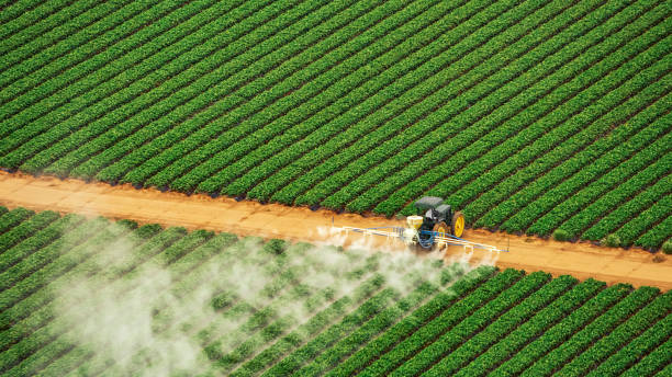 Best Pest Removal Services  in West Middlesex, PA
