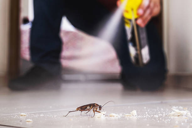 Reliable West Middlesex, PA Pest Control Solutions