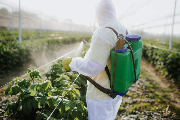 Best Pest Control Treatment  in West Middlesex, PA